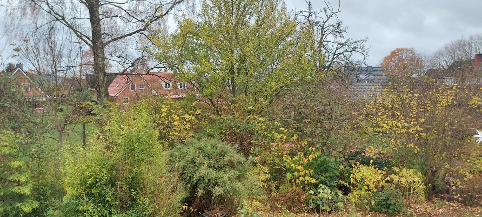 Ferienwohnung Bad Segeberg Exterior foto